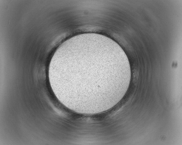 X0000090780254200708172134