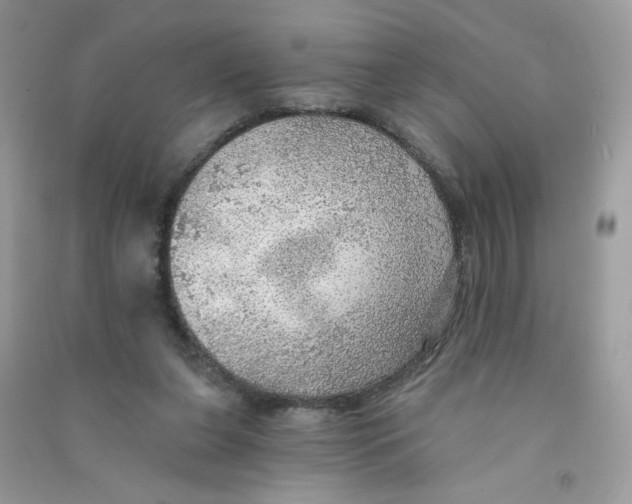 X0000090780255200708172134