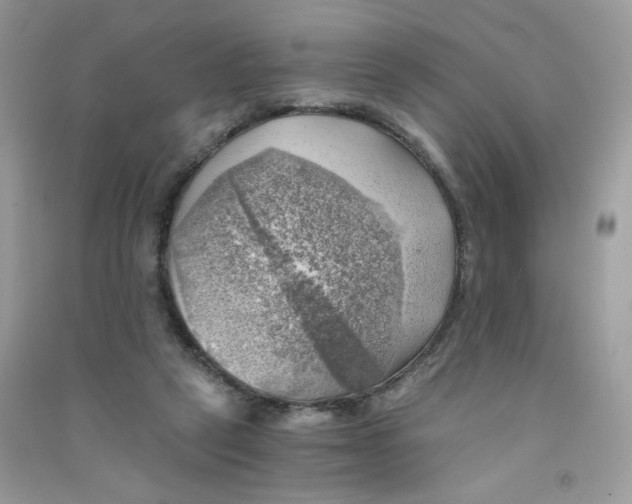 X0000090780257200708172134