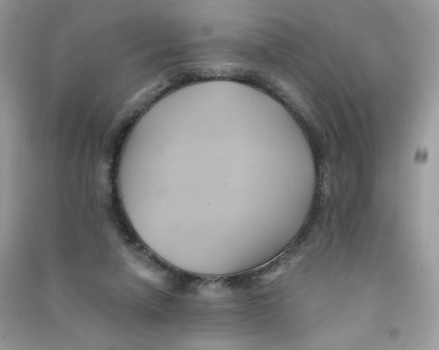 X0000090780258200708172134