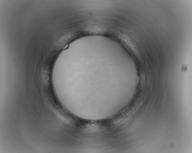 X0000090780259200708172134