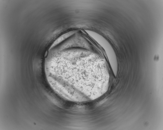 X0000090780260200708172134
