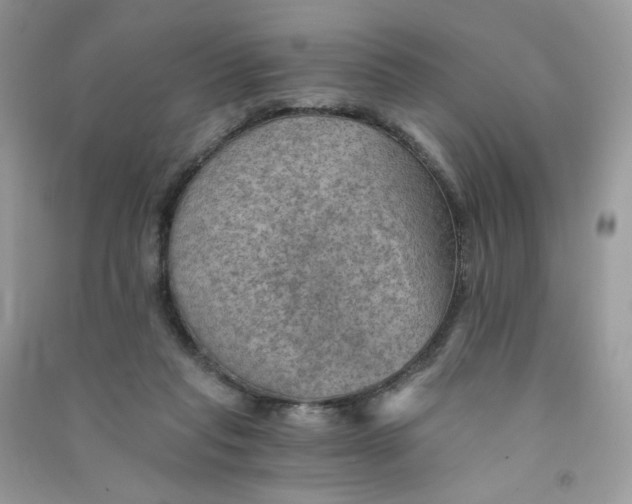 X0000090780261200708172134