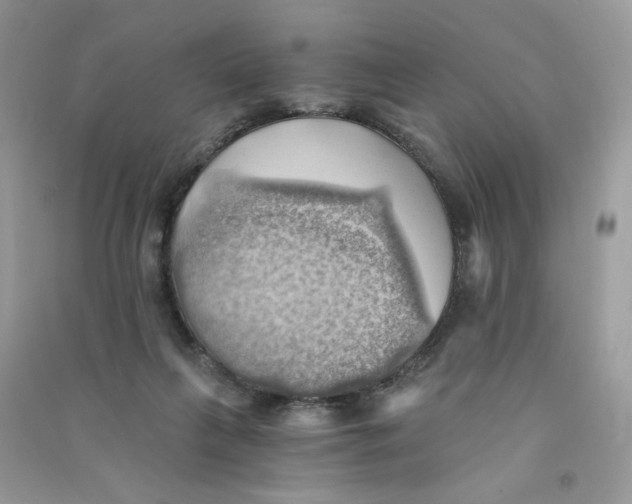 X0000090780263200708172134