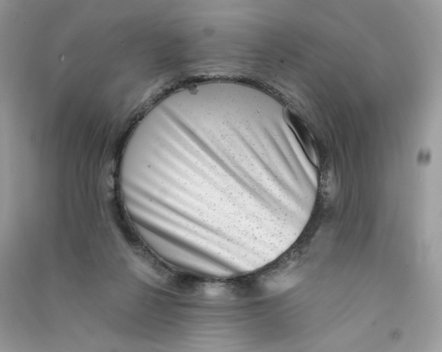 X0000090780264200708172134