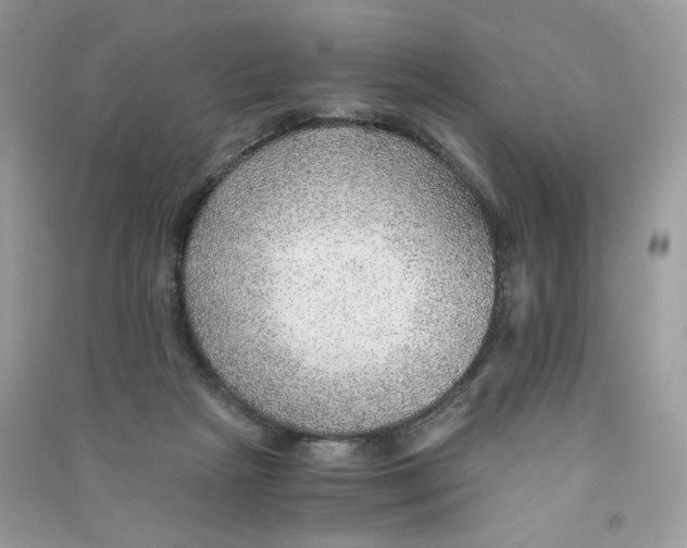 X0000090780265200708172134