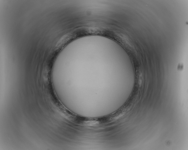 X0000090780266200708172134