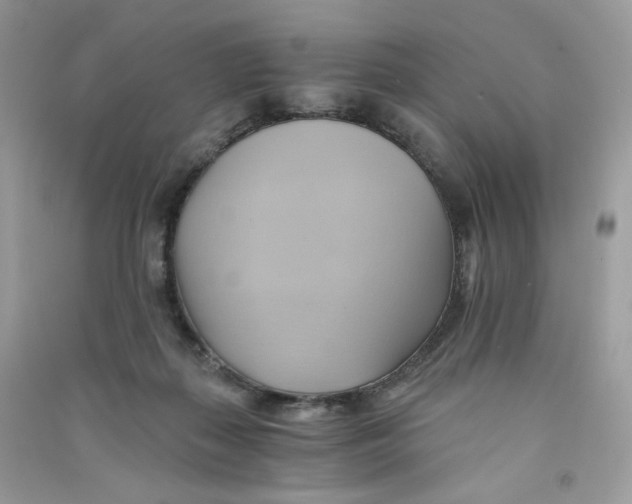 X0000090780267200708172134