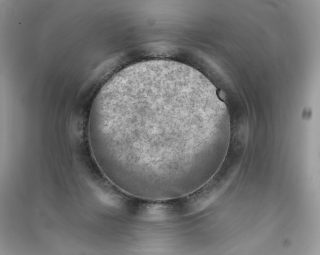 X0000090780268200708172134