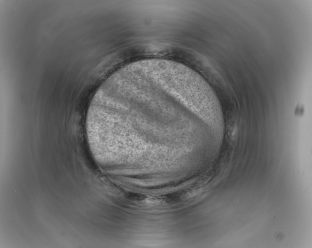 X0000090780270200708172134