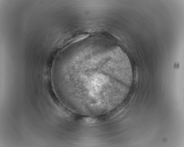 X0000090780272200708172134