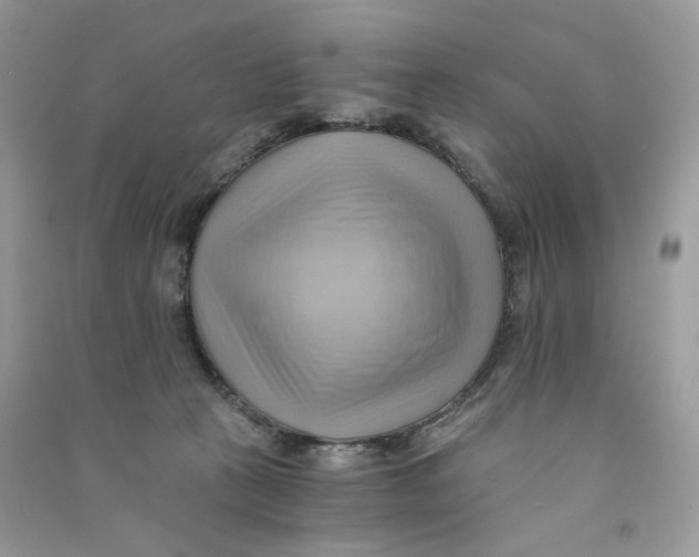 X0000090780273200708172134
