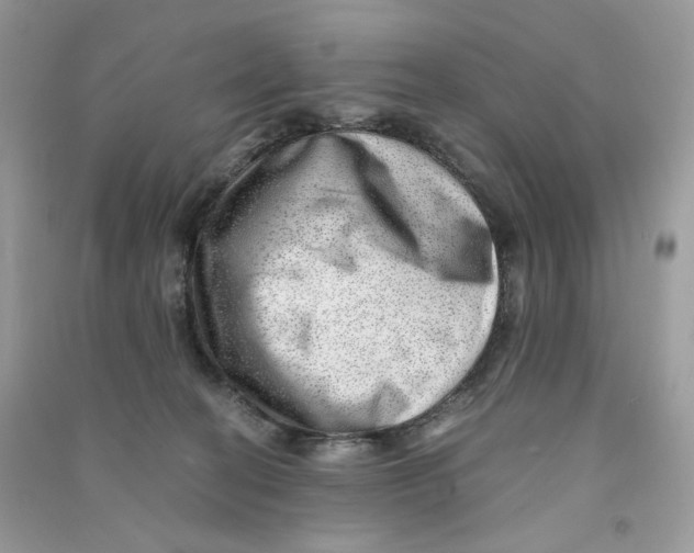 X0000090780274200708172134