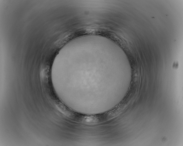 X0000090780275200708172134