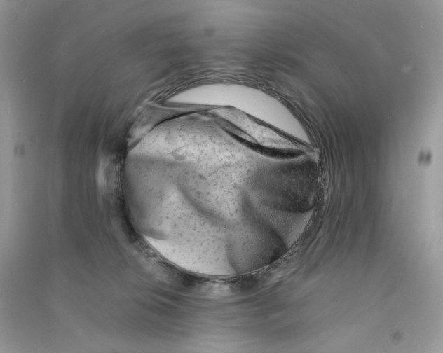 X0000090780276200708172134