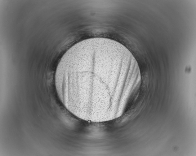 X0000090780278200708172134