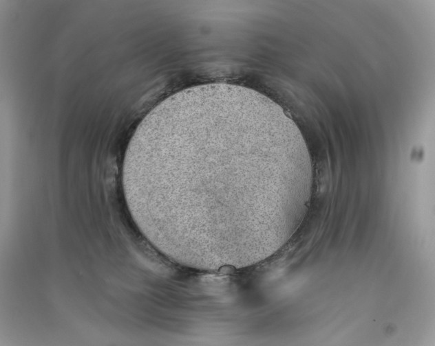 X0000090780279200708172134