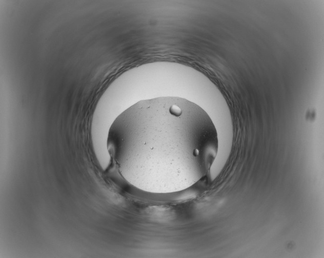 X0000090780280200708172134