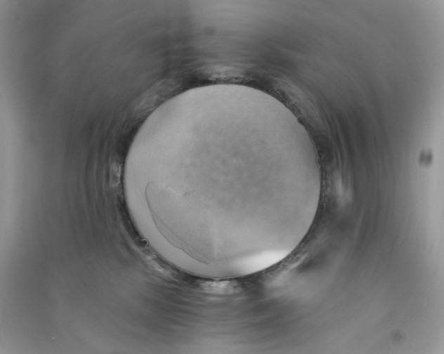 X0000090780281200708172134