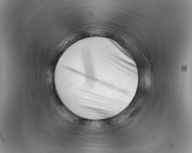 X0000090780282200708172134