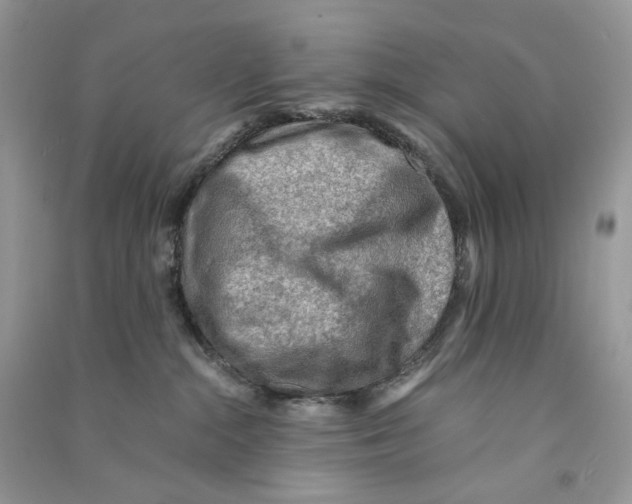 X0000090780284200708172134