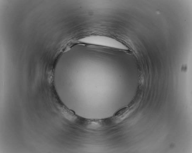 X0000090780285200708172134