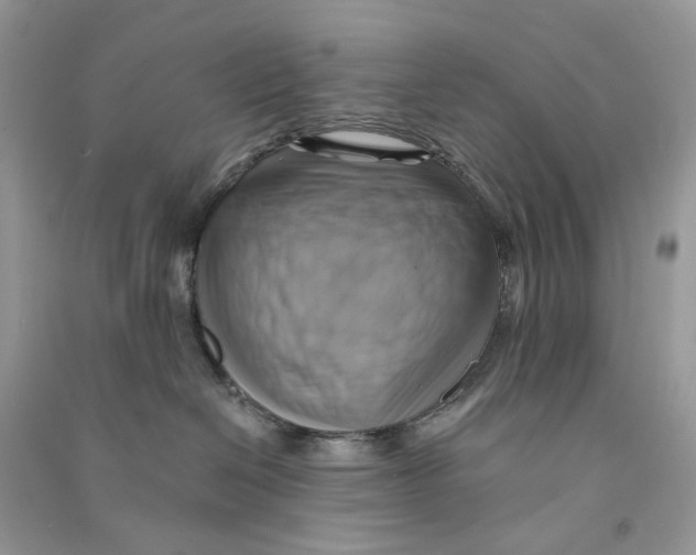 X0000090780286200708172134