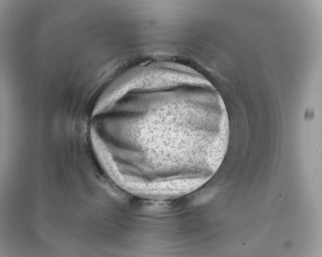 X0000090780288200708172134