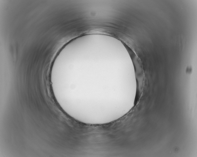 X0000090780289200708172133