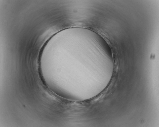 X0000090780290200708172133