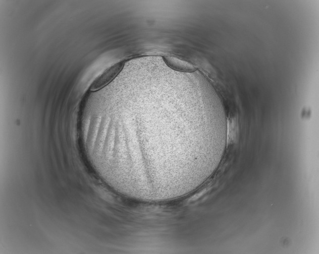 X0000090780291200708172133