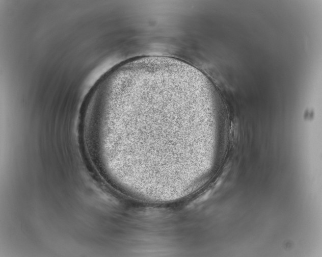 X0000090780292200708172133