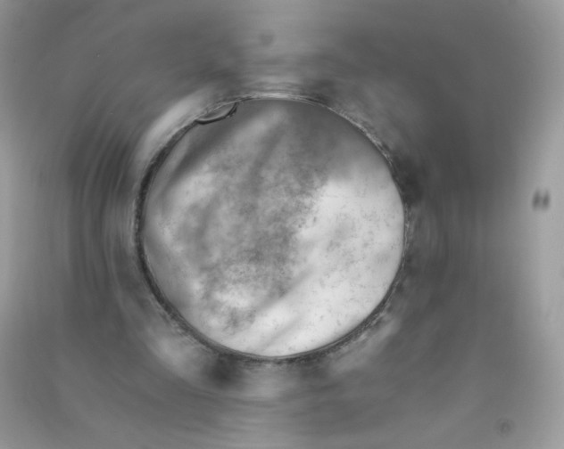 X0000090780293200708172133