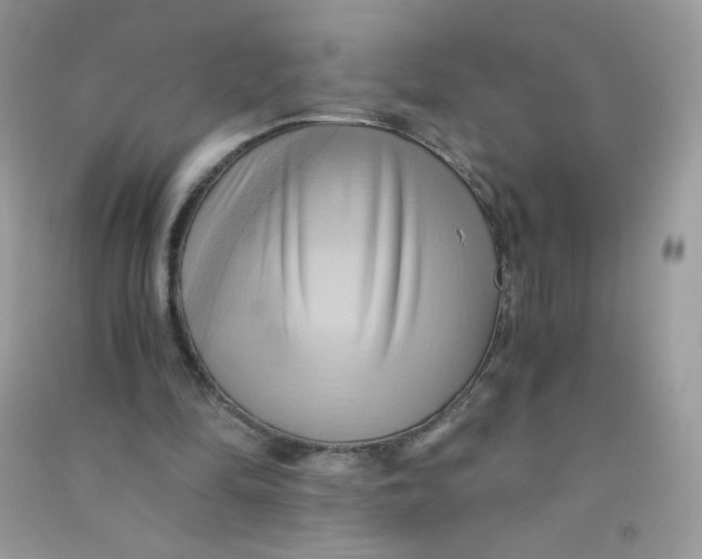 X0000090780294200708172133
