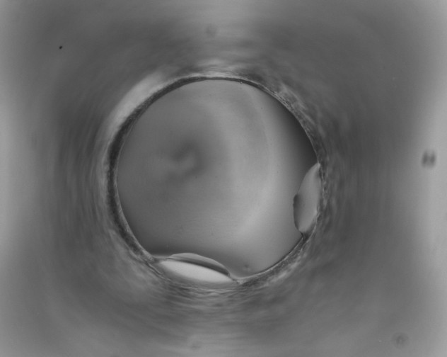 X0000090780295200708172133