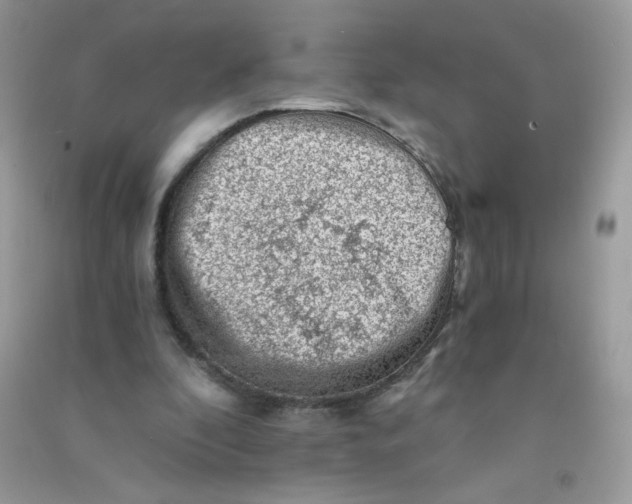 X0000090780296200708172133