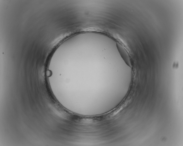 X0000090780298200708172133
