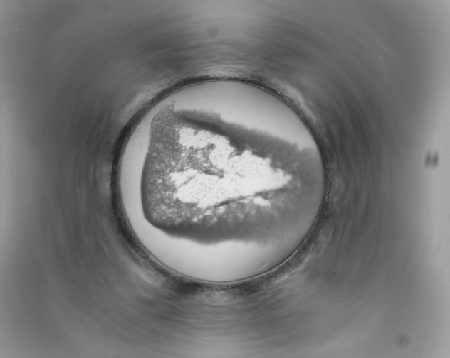 X0000090780299200708172133