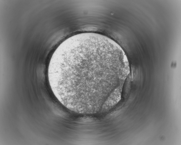 X0000090780300200708172133