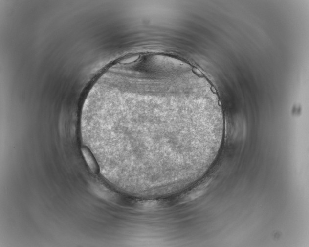 X0000090780301200708172133