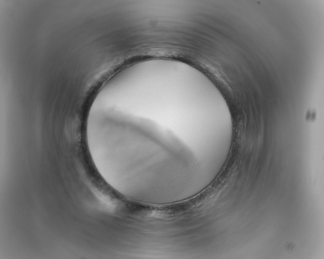 X0000090780303200708172133