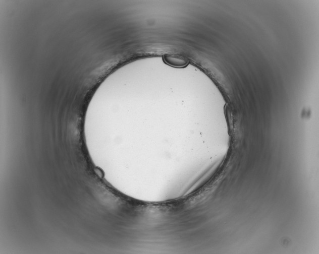 X0000090780305200708172133