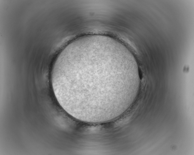 X0000090780306200708172133
