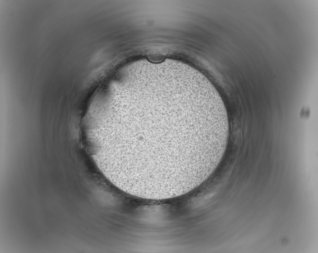 X0000090780307200708172133