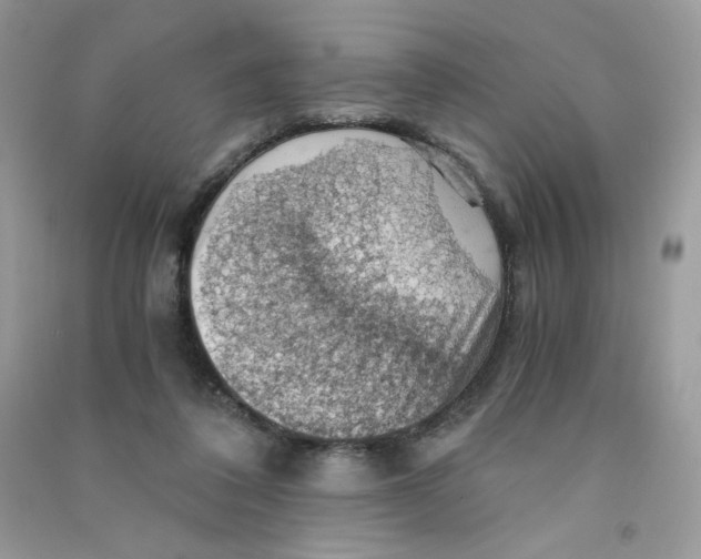 X0000090780308200708172133