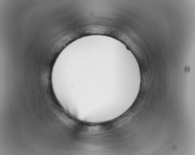 X0000090780309200708172133