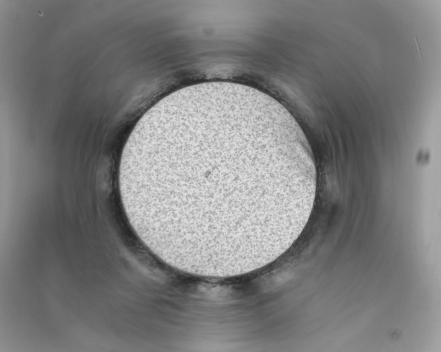 X0000090780311200708172133