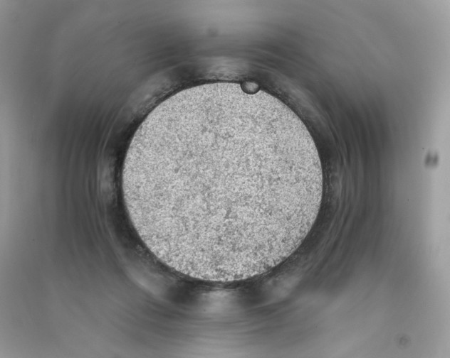 X0000090780312200708172133