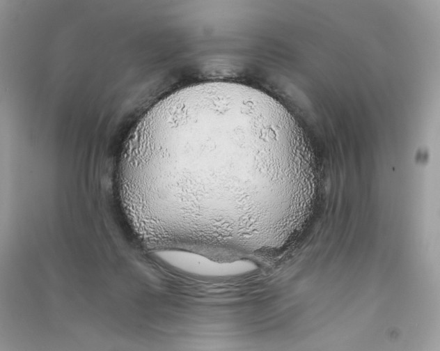 X0000090780315200708172133