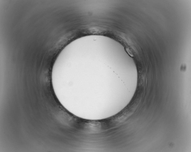X0000090780317200708172133